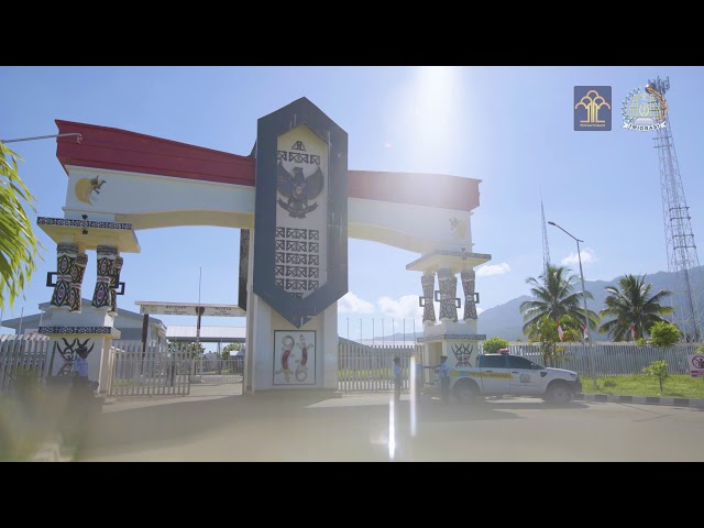 Immigration at the Border